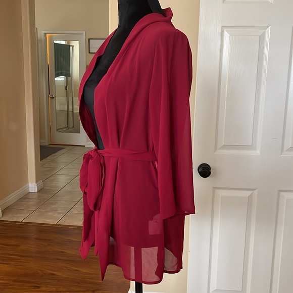 Lingerie Cover Up - Picture 2 of 3